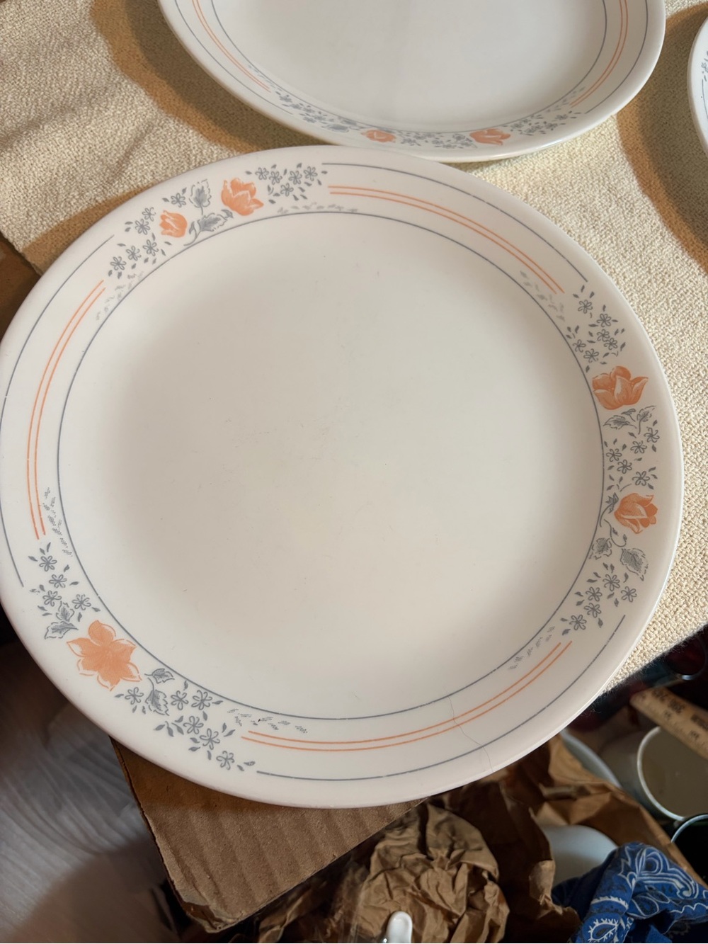 Vintage Corelle Apricot Grove Dinner Plates - Set of 3. Excellent condition